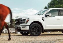 Ford Australia Захищає Продаж F-150 Незважаючи на Несприятливі Фактори