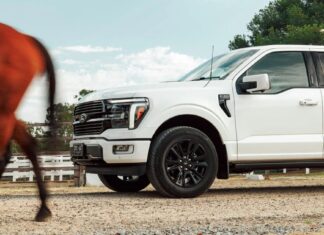 Ford Australia chrání prodej F-150 navzdory protivětru
