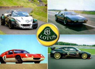 I numeri che hanno costruito Lotus (e quelli che non lo hanno fatto)