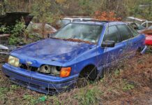 Що шукати на звалищі Collins Auto Salvage в Оберні, Джорджія