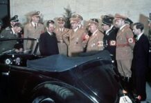 Спірні витоки Volkswagen Beetle та шлях до домінування на ринку